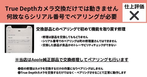 True Depthカメラ交換だけでは動きません 何故ならシリアル番号でペアリングが必要の詳細