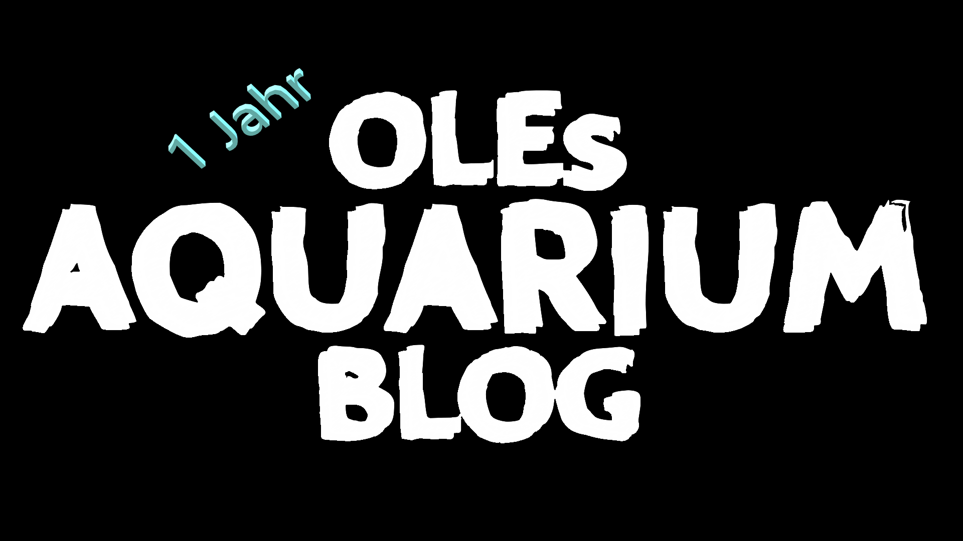 Kaum zu glauben, aber wahr: Oles Aquarium Blog wird 1 Jahr alt!!!!!!!!!