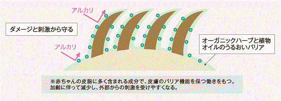 髪と頭皮保護イメージ