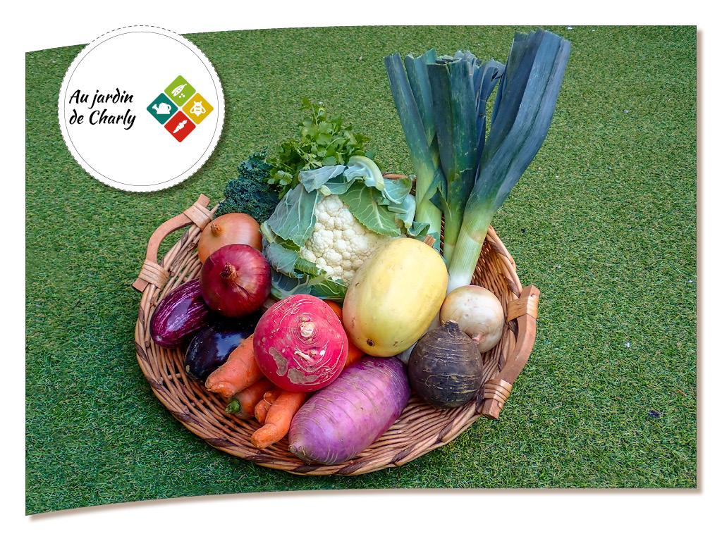 un bel assortiment de légumes du jardin de Charly : chou fleur, poireau, carotte, aubergines, radis, oignons, courge spaghetti