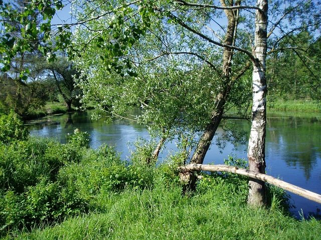 Brenz im Eselsburger Tal