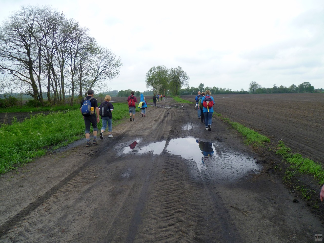 Feldweg bei Utershorst