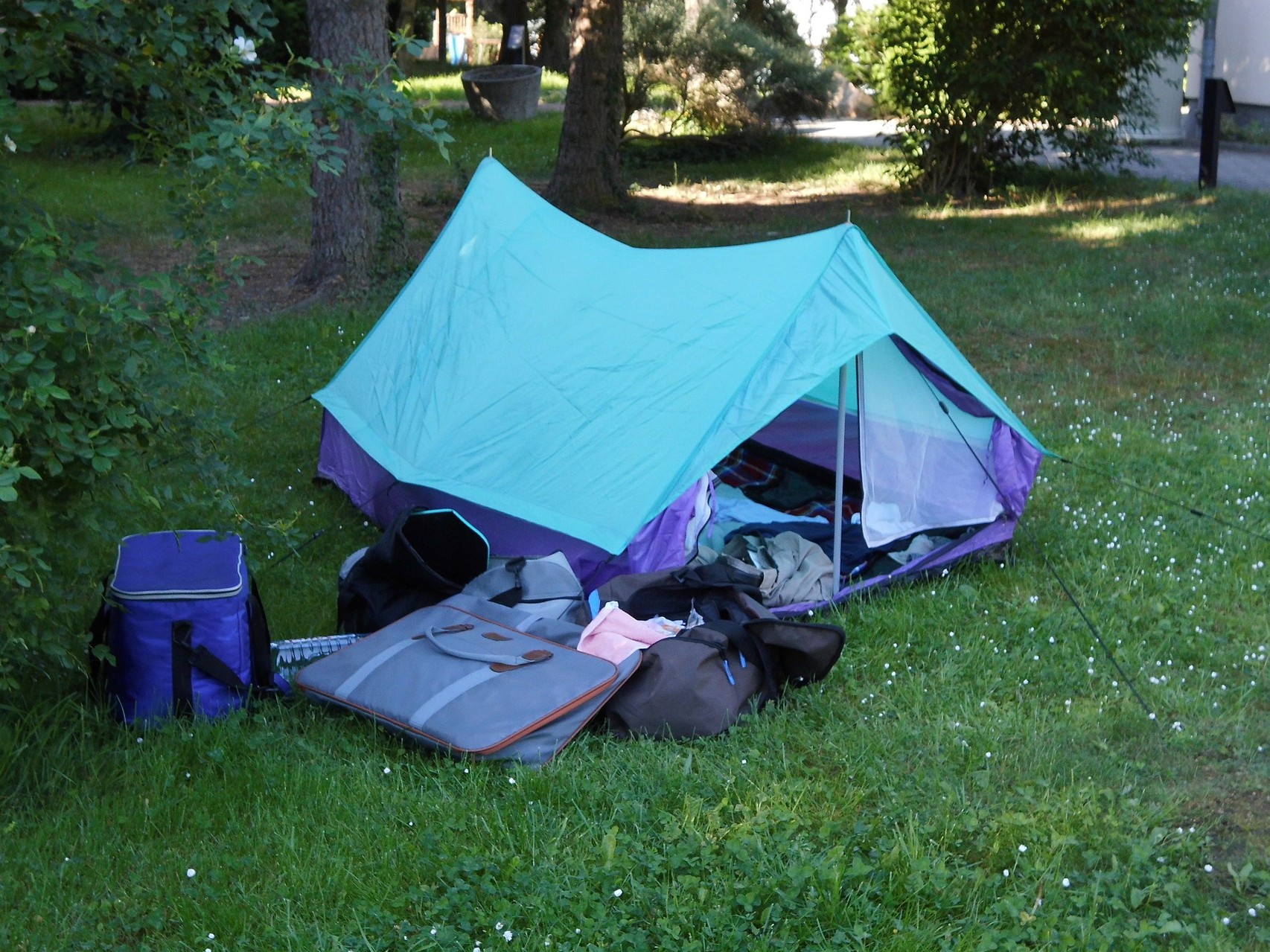 Erste schöne Tage in Bad Belzig... wie im Paradies