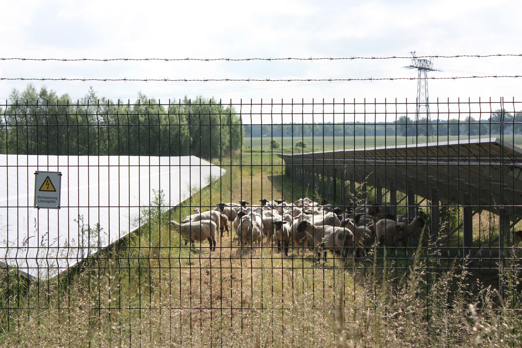 Auf dem Weg nach Kyritz