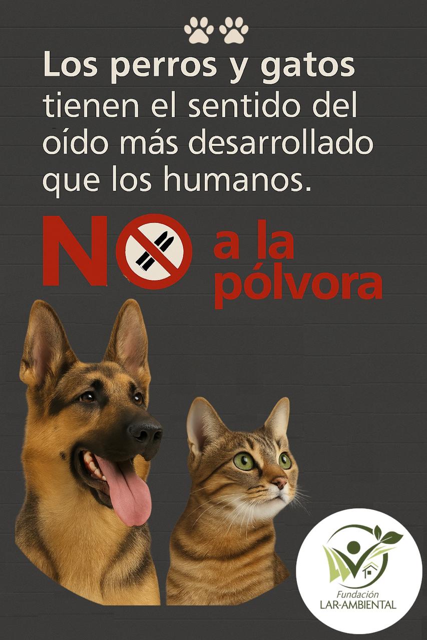 no a la polvora