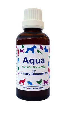 INCONTINENCIA URINARIA PERRO REMEDIO incontinencia urinaria perro remedio: