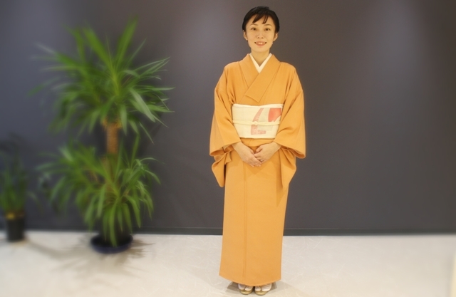 色無地