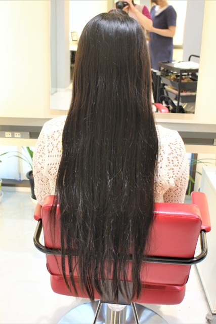 新吉田東