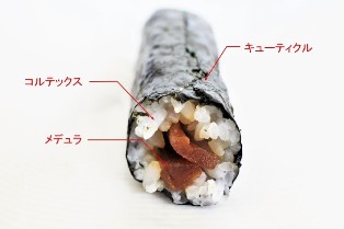 縮毛矯正