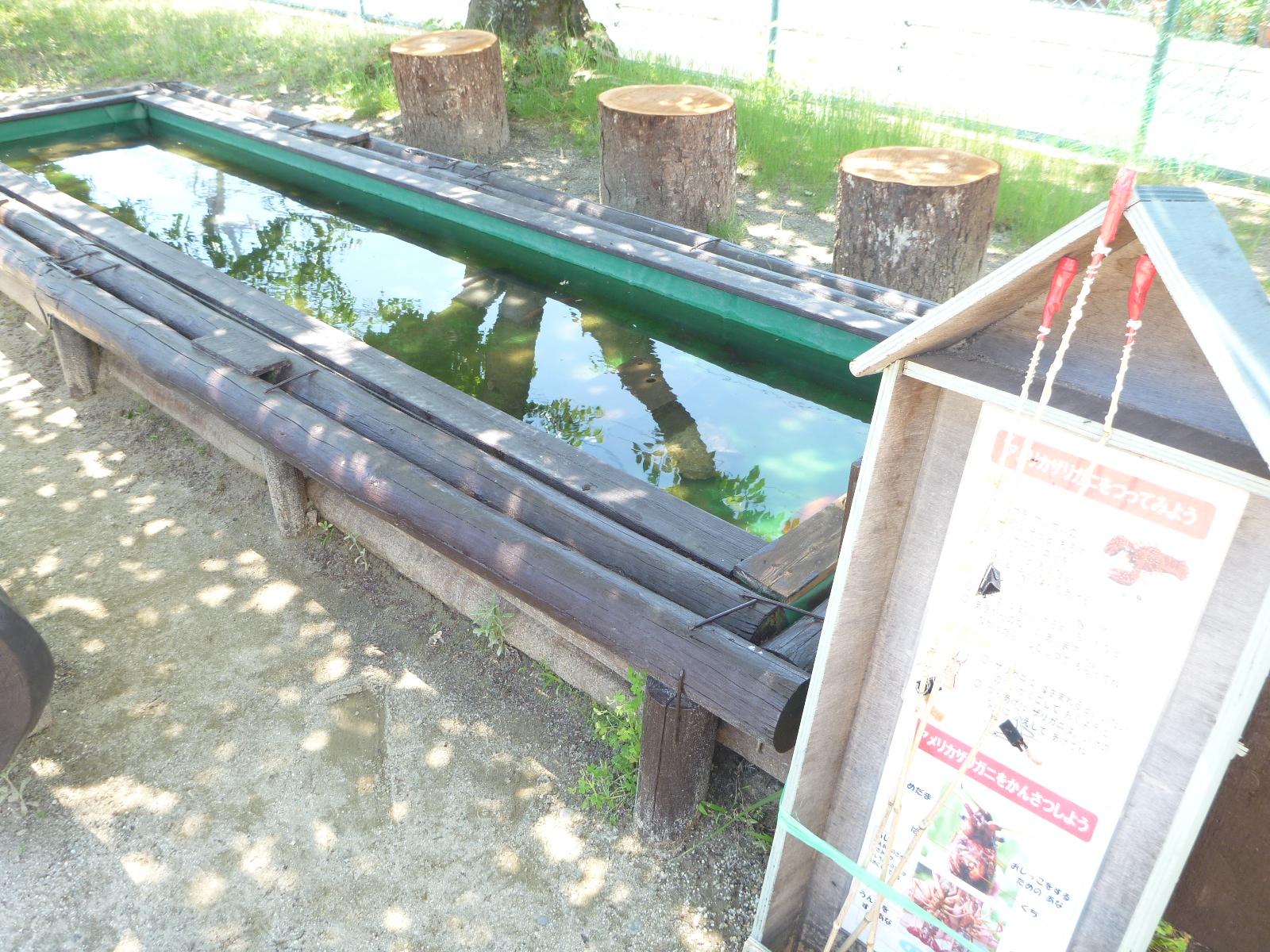 ザリガニ池