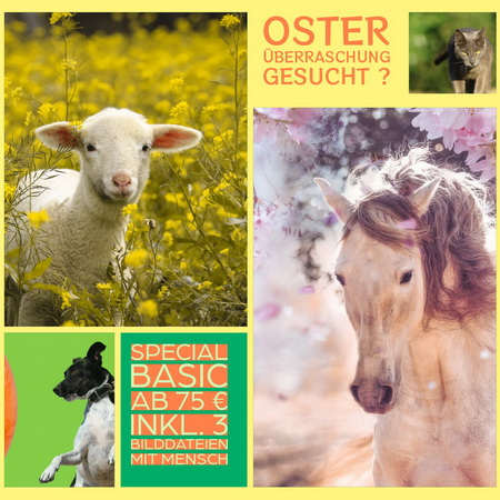 Ostern Oster-Überraschung Geschenkidee Gutschein Geschenk-Gutschein
