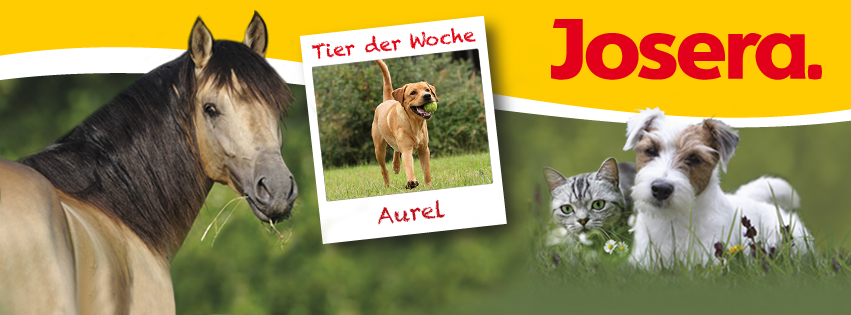 Aurel ist auf facebook das "Tier der Woche", KW 38 2015