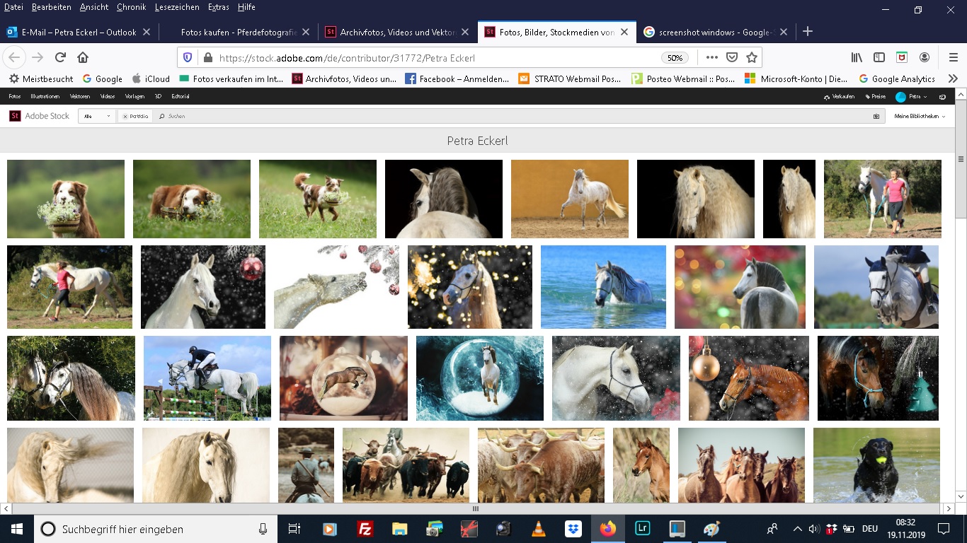 Fotos Kaufen Pferdefotografie Hundefotografie Tierfotografie In Munchen Bayern Andalusien Petra Eckerl