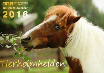 Titel für den Kalender des Tierheim München 2016