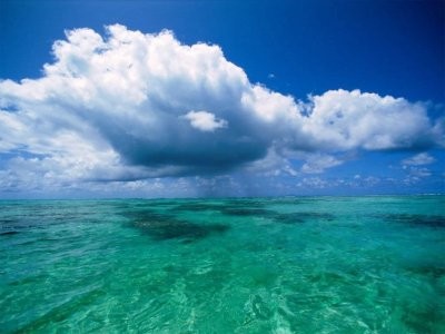 Verdes aguas del Oceano