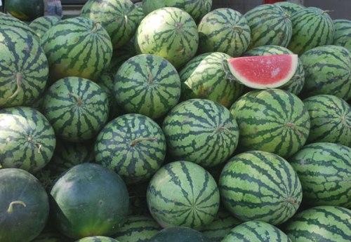 Sandias