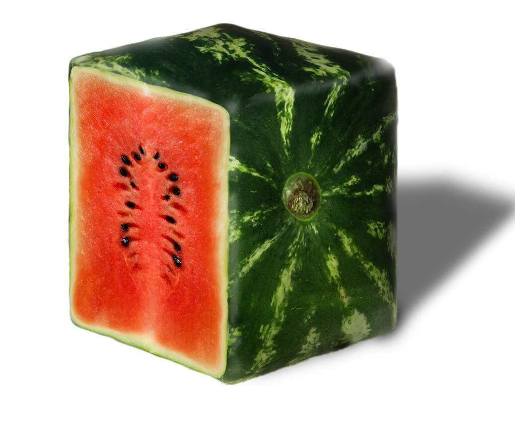 Sandia Cuadrada Japonesa