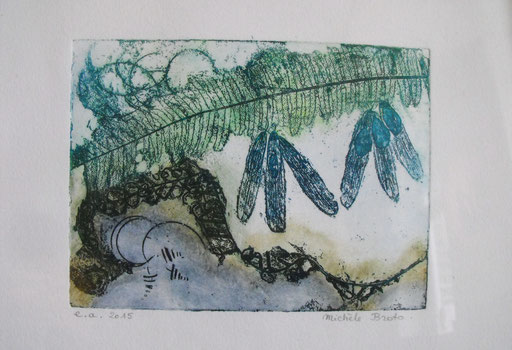 "Fougères"-gravure, eau-forte-20*27-2015-80€-tarif de location/mois=10€