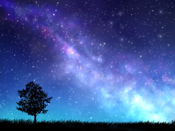 星空を通して、自分の可能性や人生の流れを見つめていくことをイメージした風景