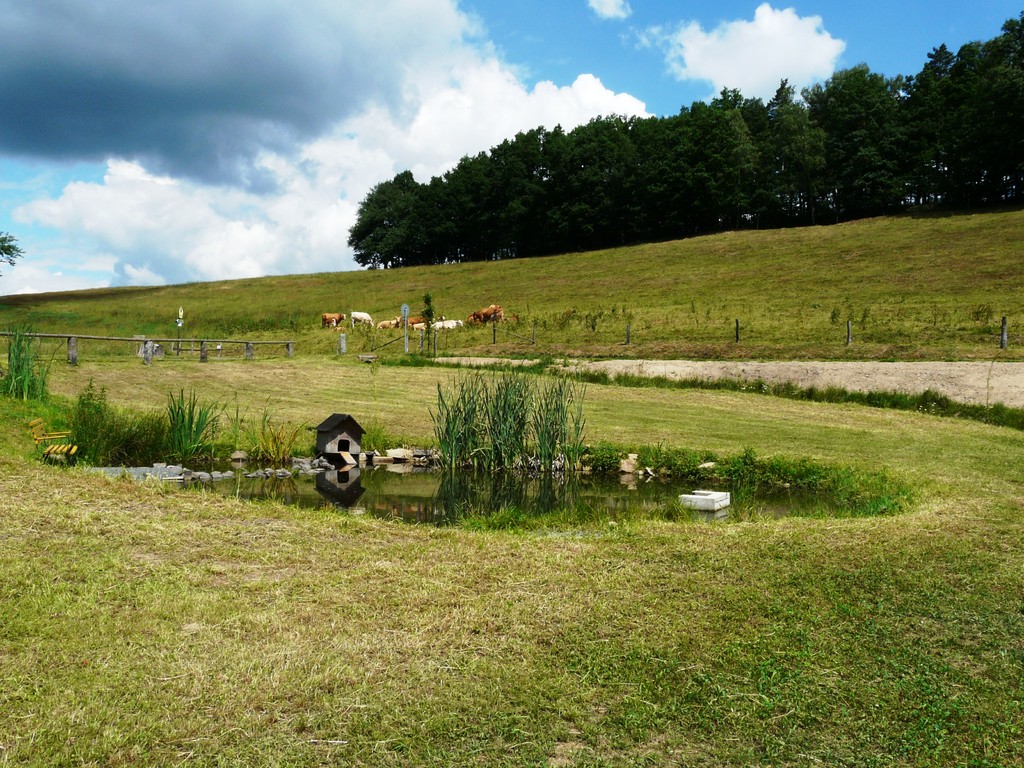 kleiner Teich