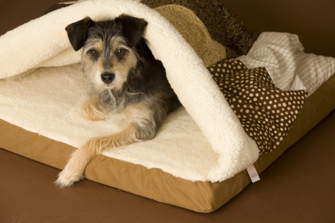 Hundebett nach Maß