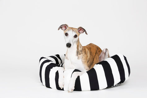 Kuschelbett für Hunde