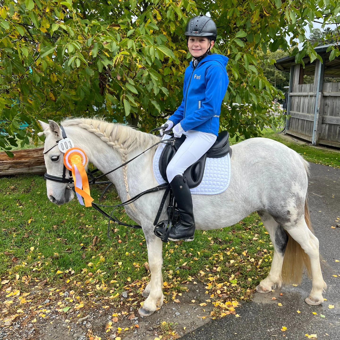 Juniorenturnier Nordstetten-Horb
