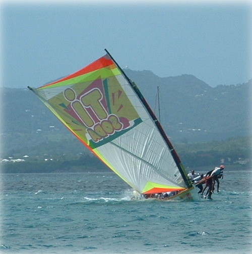 Gommier sous voile