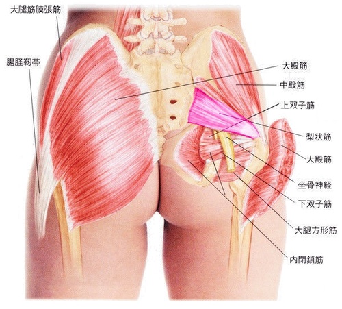 関連画像