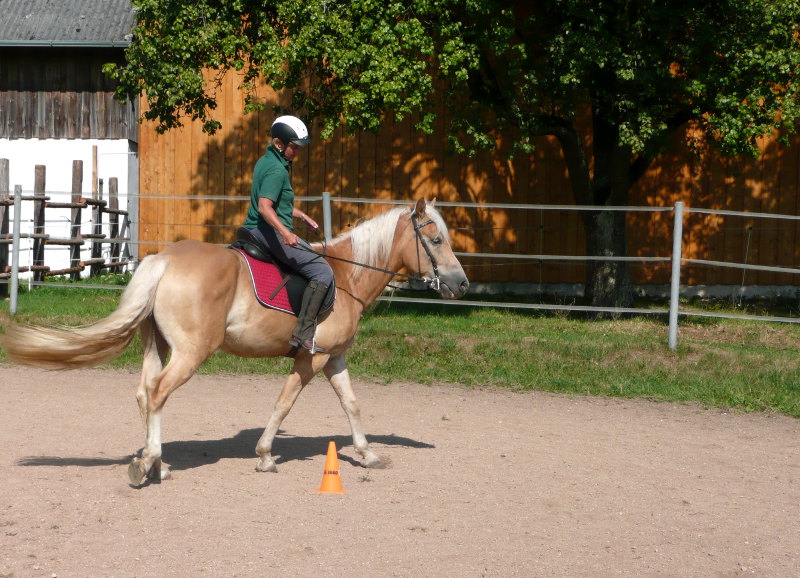 Arbeit mit Kegel auf dem Reitplatz