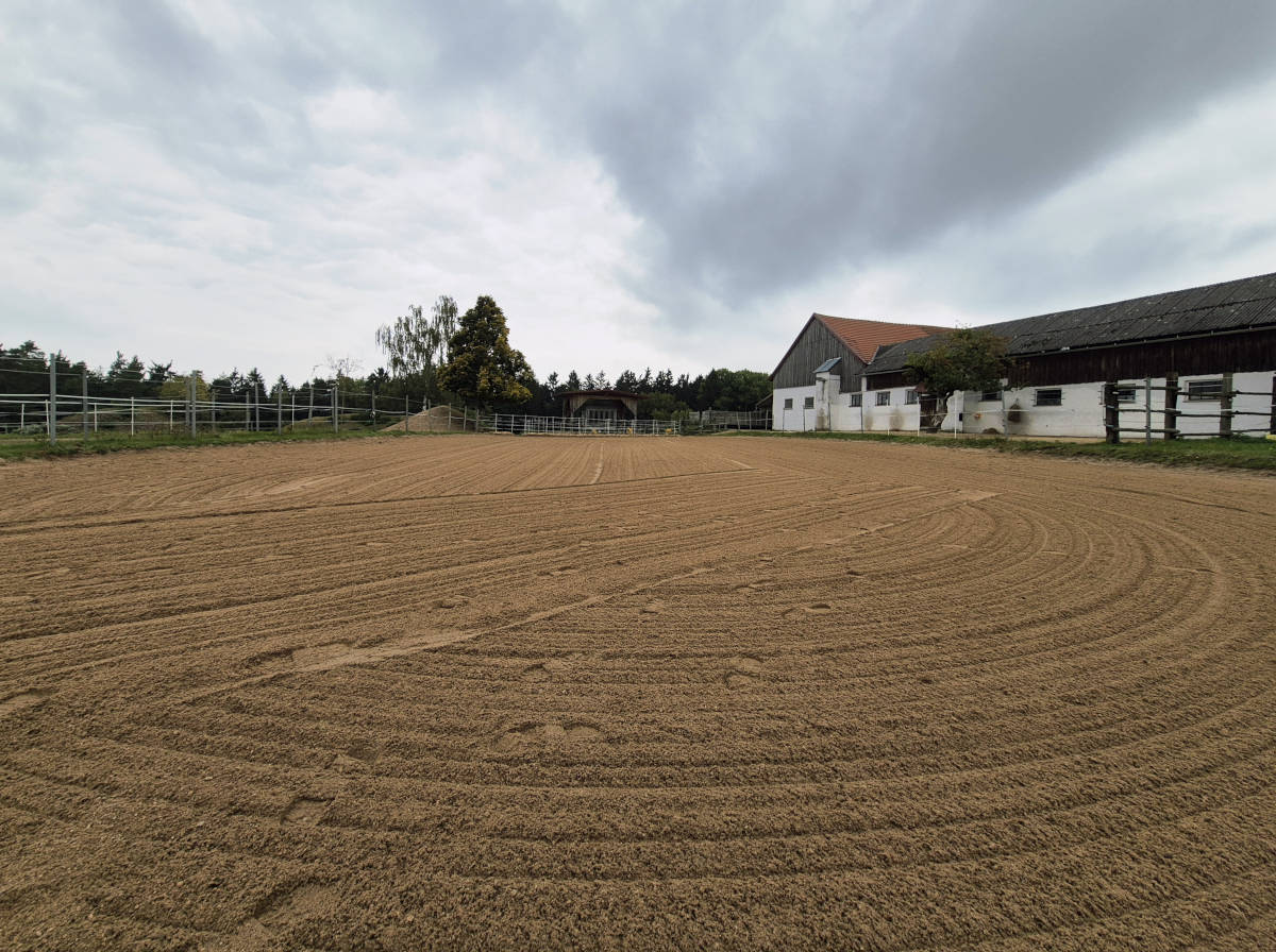Blick über den Reitplatz in Richtung Raufe