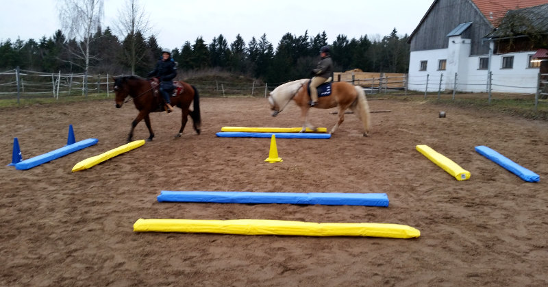 Kein Problem: Übungen auf unserem großen Reitplatz