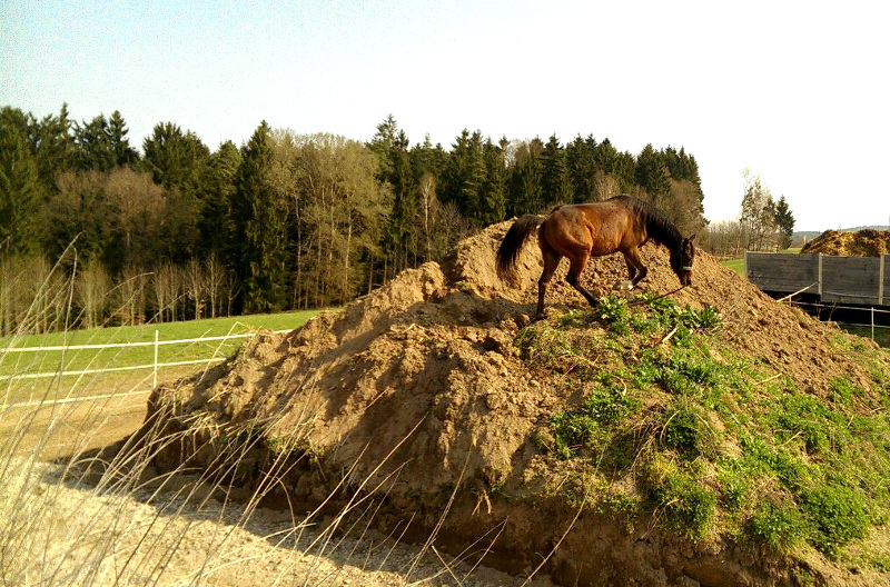 "Hügel-Trail" als Spielplatz zum Klettern