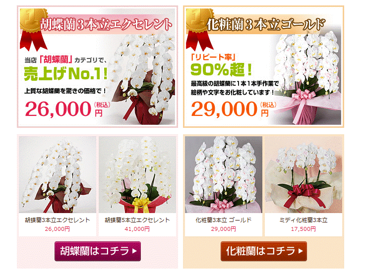 自由が丘で胡蝶蘭を即日発送 お急ぎ対応 開店祝いや各種お祝いに胡蝶蘭のフラワーギフト 自由が丘で胡蝶蘭を即日発送 お急ぎ対応 開店祝いや各種お祝いに胡蝶蘭のフラワーギフト