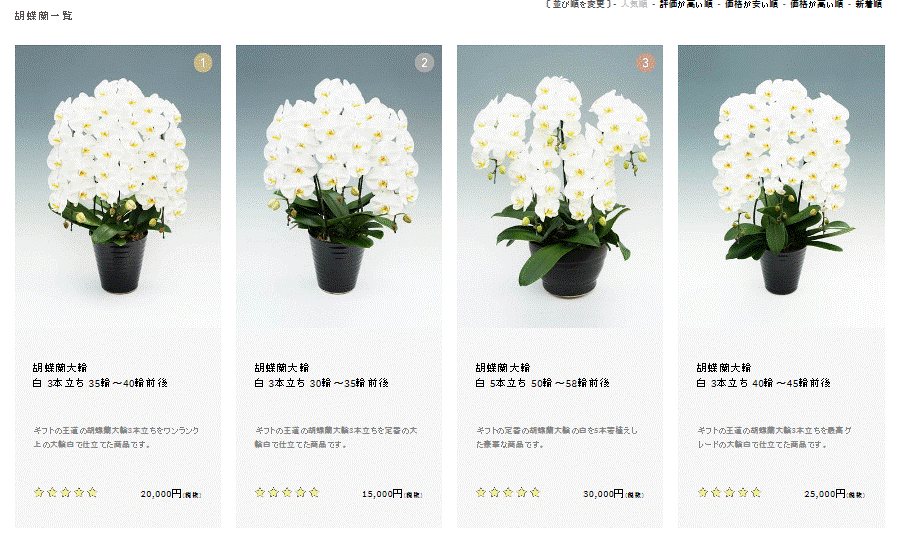 自由が丘で胡蝶蘭を即日発送 お急ぎ対応 開店祝いや各種お祝いに胡蝶蘭のフラワーギフト 自由が丘で胡蝶蘭を即日発送 お急ぎ対応 開店祝いや各種お祝いに胡蝶蘭のフラワーギフト