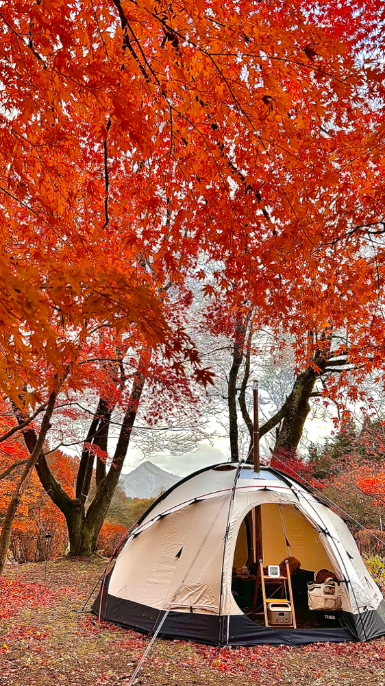 サイト紹介 - chillaxgarden-camp024 ページ！