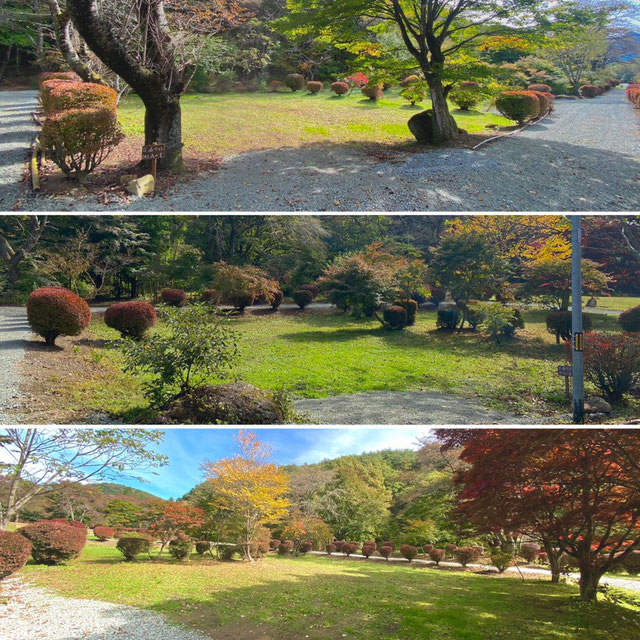 Chillax Garden