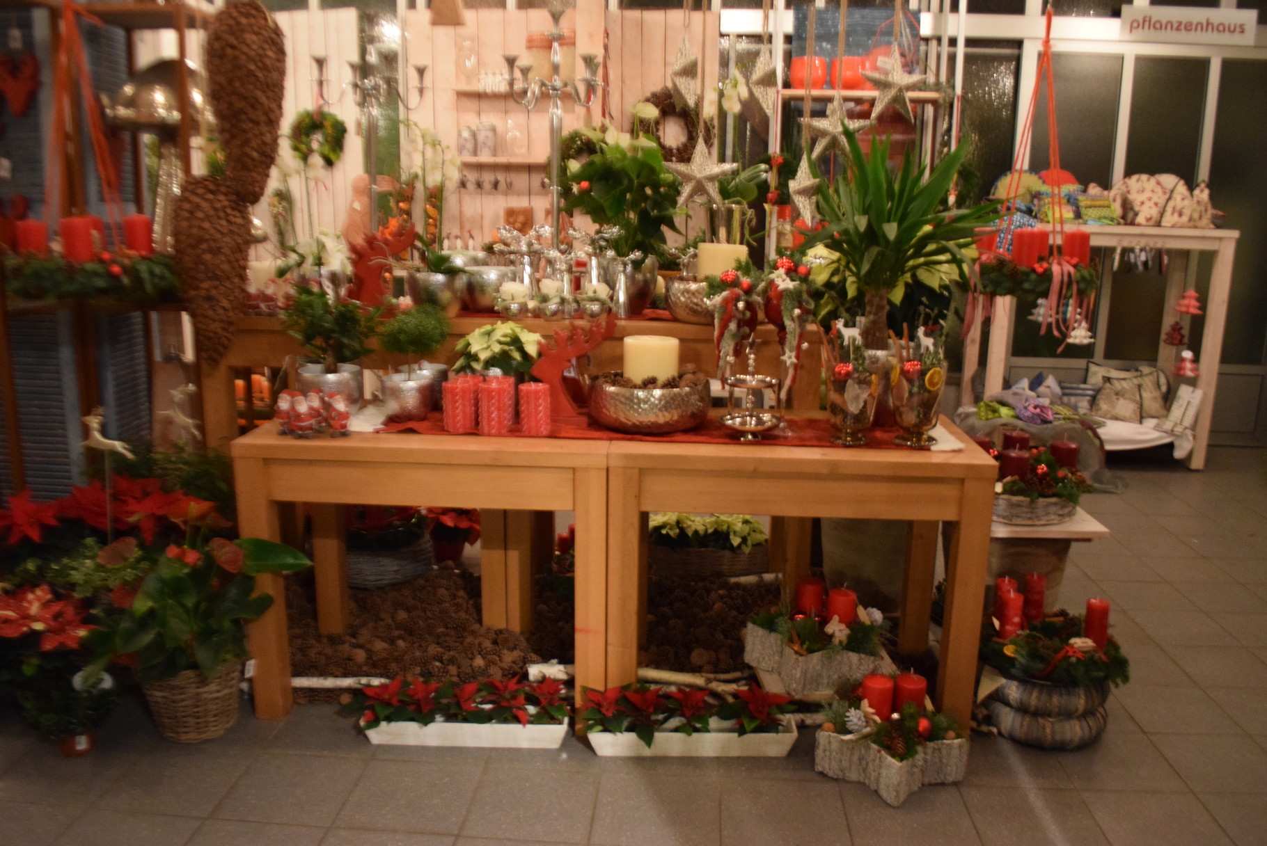 Adventsausstellung 2014 Blumen Noll