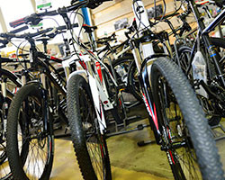 bike fun ihr radgeschaft in geisenheim bike fun ihr fahrrad geschaft im rheingau fahrrader bekleidung zubehor