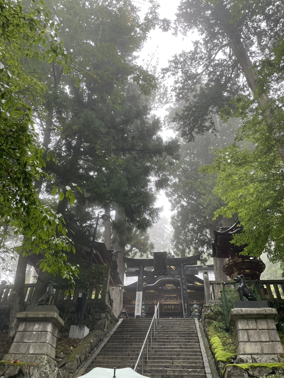 千の言霊３６９＼　甘えたいと願う気持ち　 ／