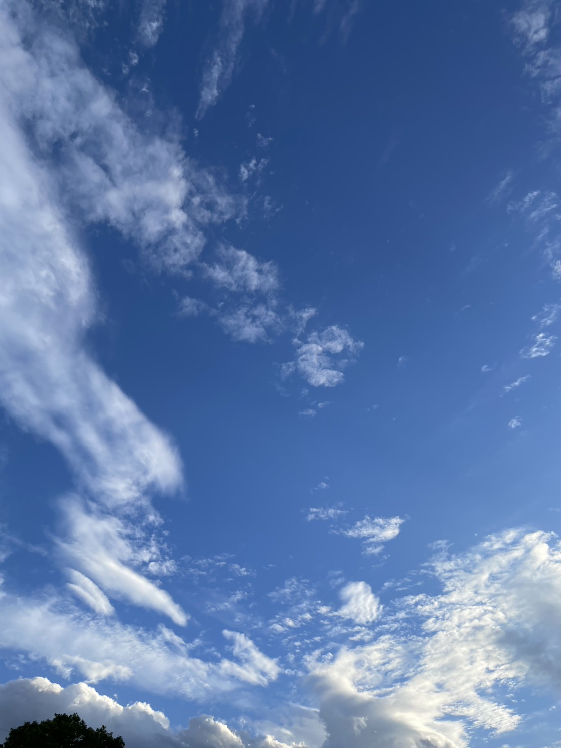 千の言霊３６９＼　常に幸せだとラッキーだと　 ／