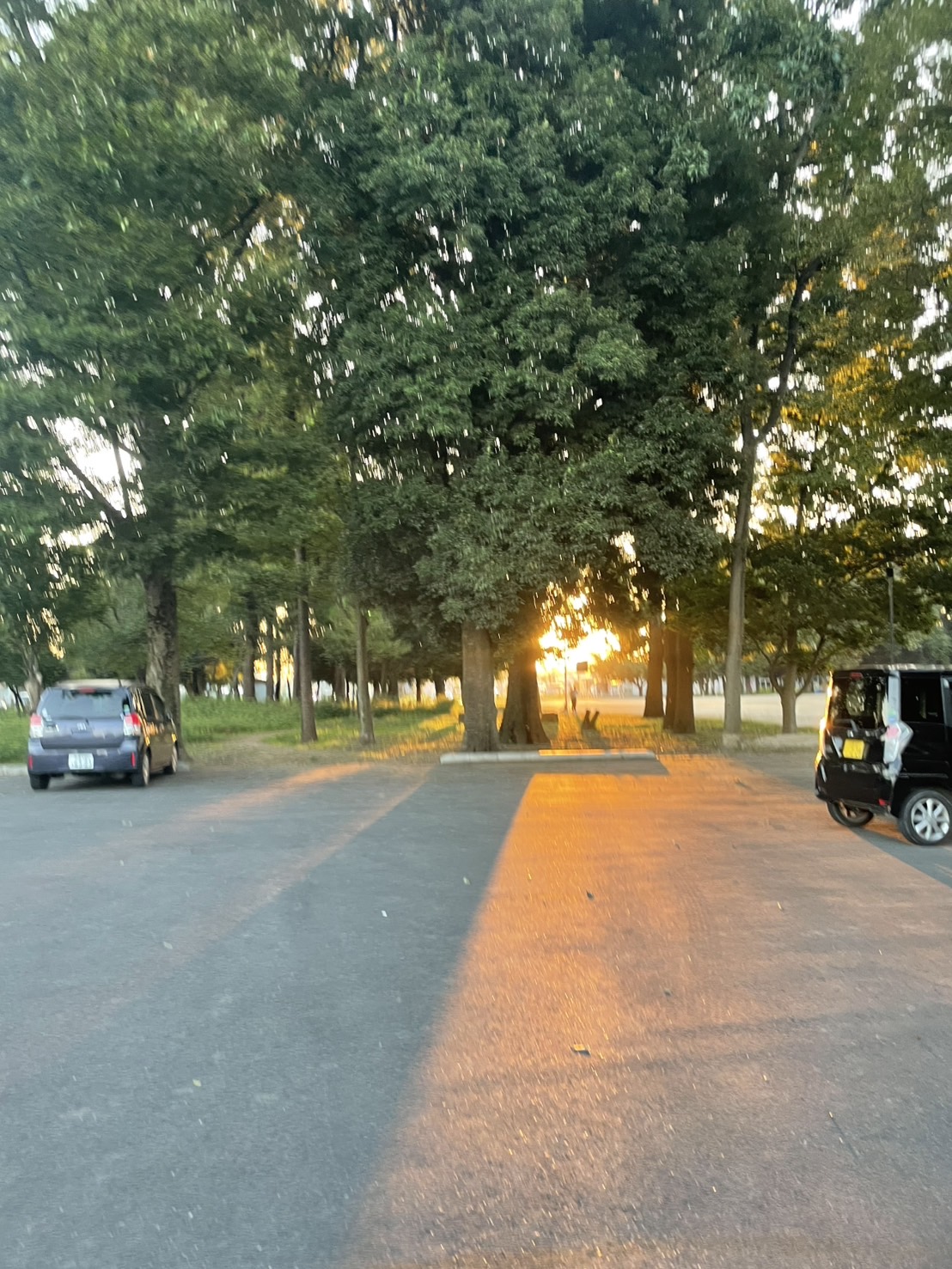 千の言霊３６９＼　今だからね　 ／