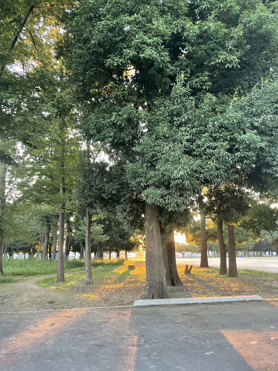 千の言霊３６９＼　望みを叶えてあげる　 ／