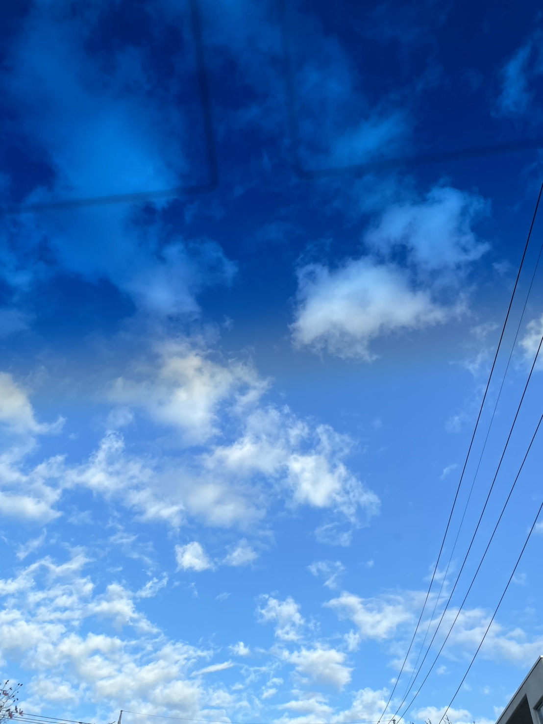 千の言霊３６９＼　その悩みの根本は　 ／