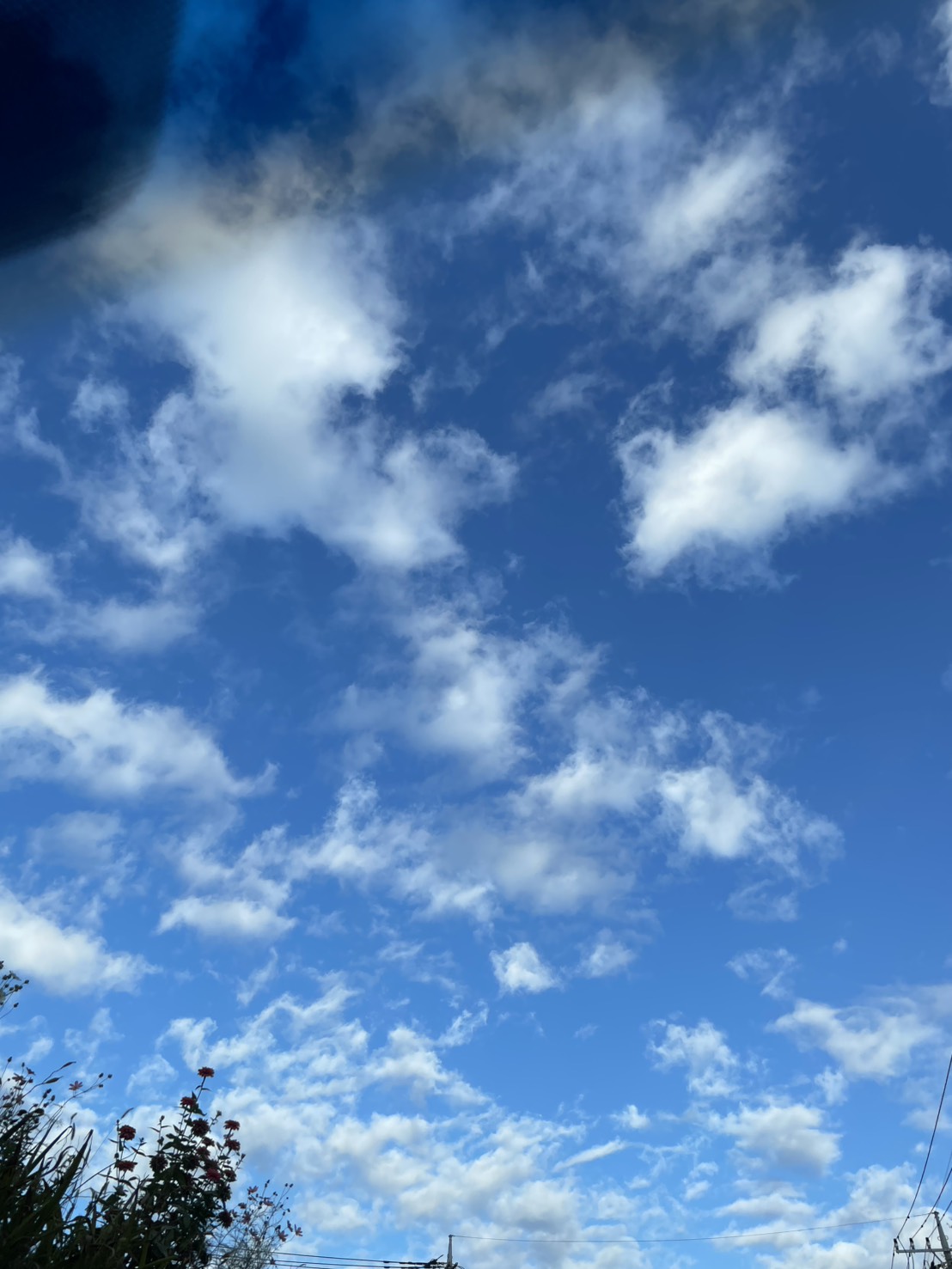 千の言霊３６９＼　それって必要なのかなぁ　 ／