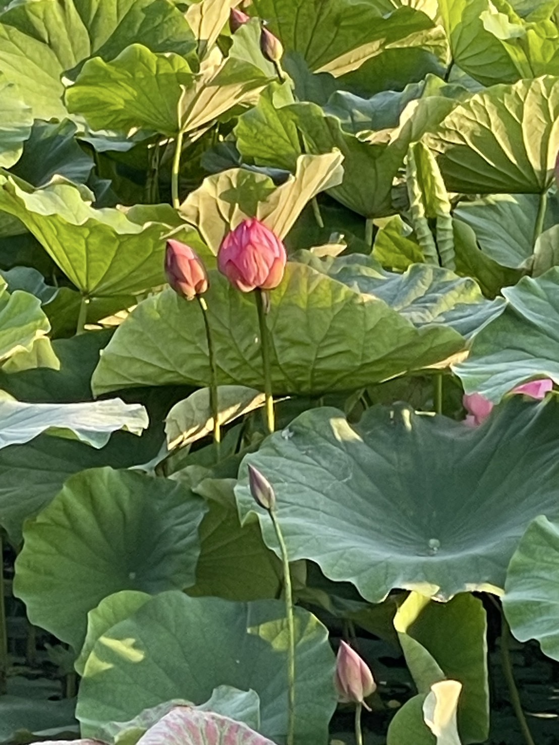 千の言霊３６９＼　会う事から　 ／