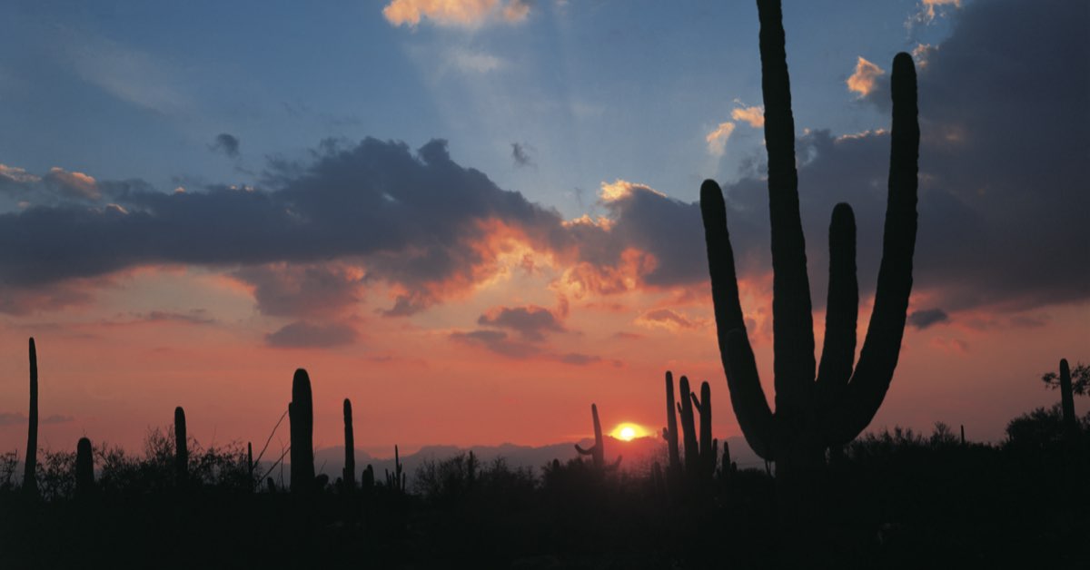 48-3 Tucson