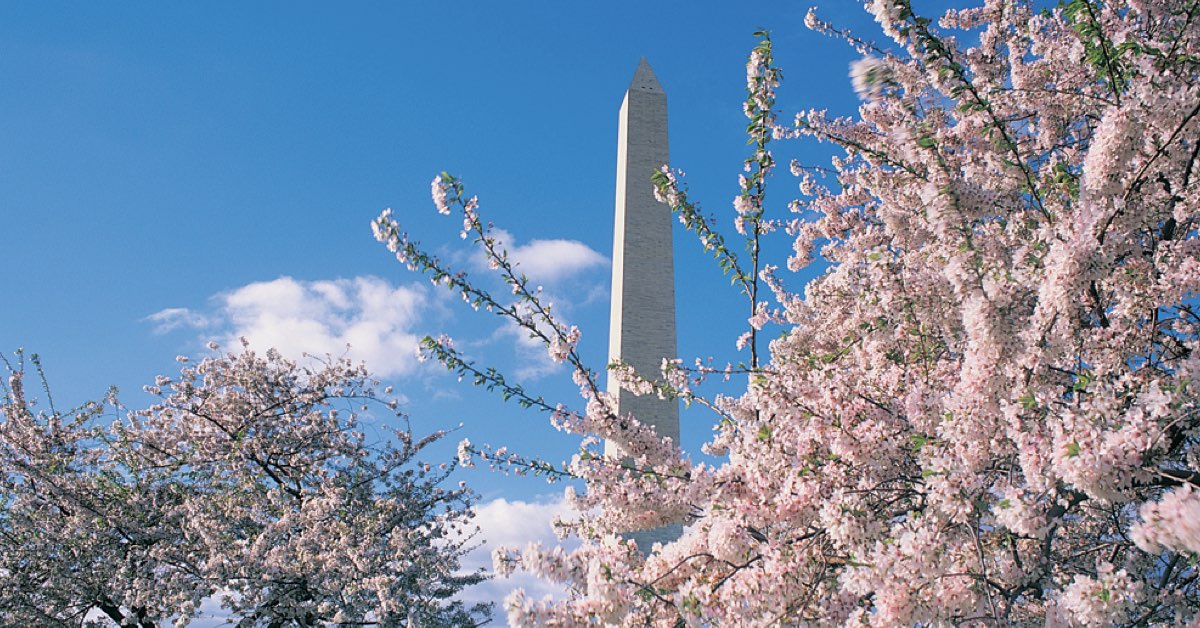 26-1 Washington DC