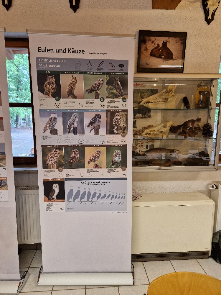 Neue Rollbanner mit Bild und Beschreibung der Greifvögel, Falken, Eulen und Käuze