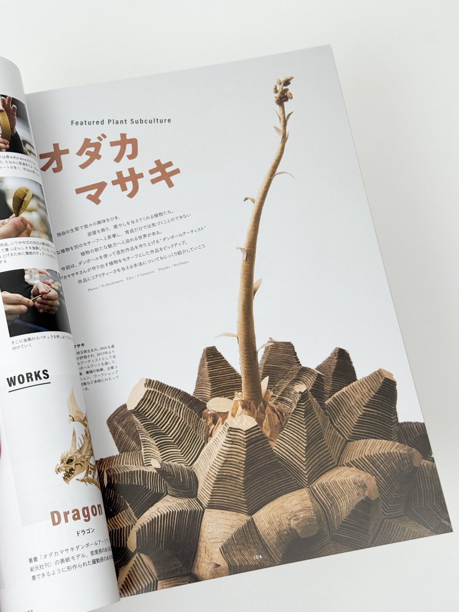 INDOOR JUNGLE Issue.09に作品、インスタビューが掲載されました